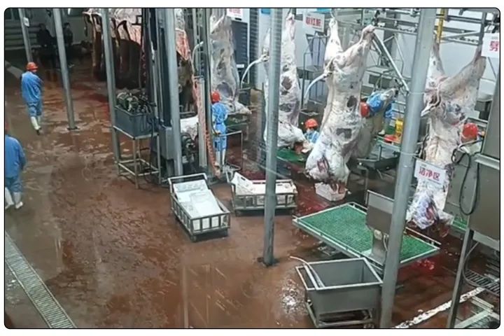 屠宰工廠惡臭影響周邊，使用除臭劑有什么注意要點(diǎn)？