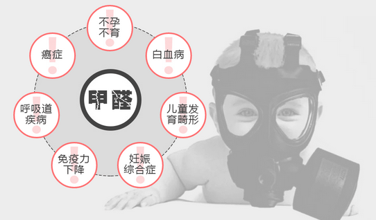 常見(jiàn)的“除甲醛”方法有哪些呢？有什么優(yōu)缺點(diǎn)？