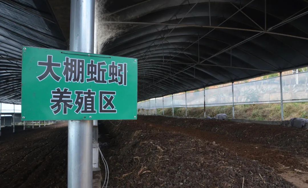 潔匠凈化·的凈工業(yè)除臭劑_的凈工業(yè)除臭劑高效治理蚯蚓養(yǎng)殖惡臭異味大、牛糞味濃