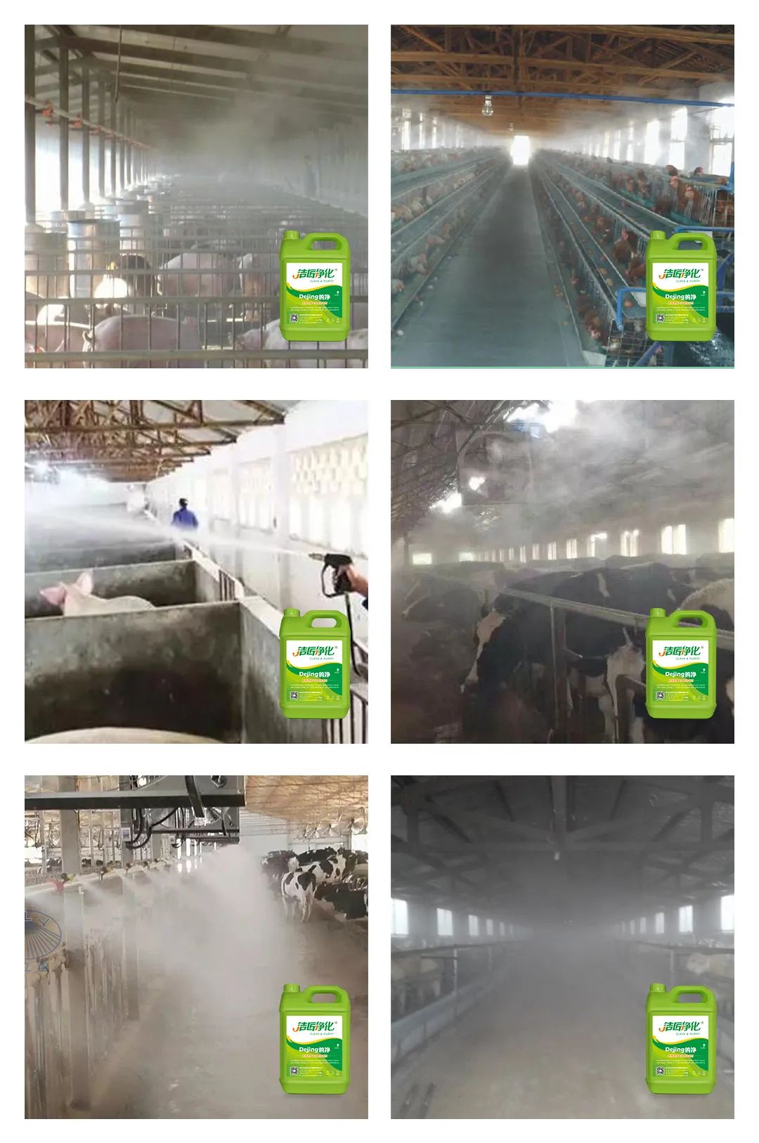 養(yǎng)殖場(chǎng)太臭，用Dejing的凈除臭劑迅速除臭！豬圈/雞場(chǎng)/牛場(chǎng)/羊圈....jpg